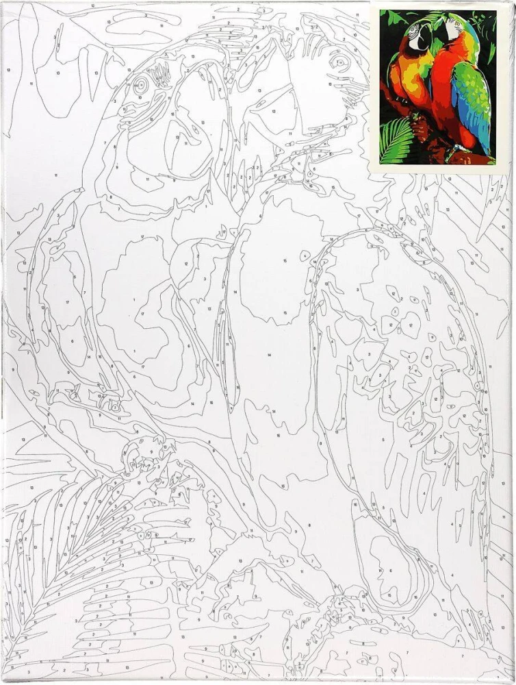 Malowanie po numerach 30x40cm Papugi - Zestaw na ramie #2