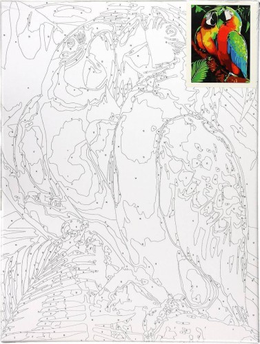 Malowanie po numerach 30x40cm Papugi - Zestaw na ramie #2