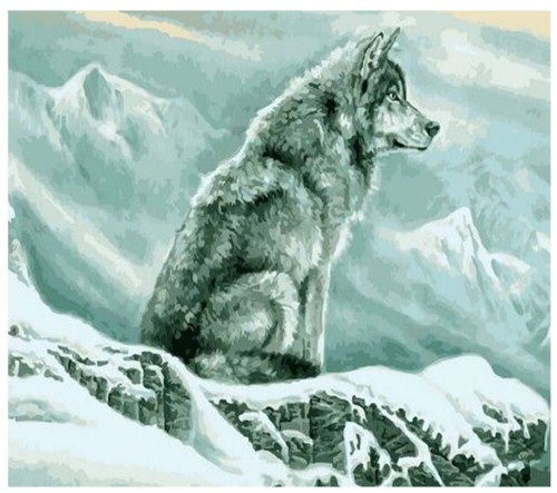 Malowanie po numerach 40x50cm Wilk - Zestaw na ramie #1