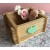 Patyczki kreatywne naturalne 93x10x2 mm - 50szt #3